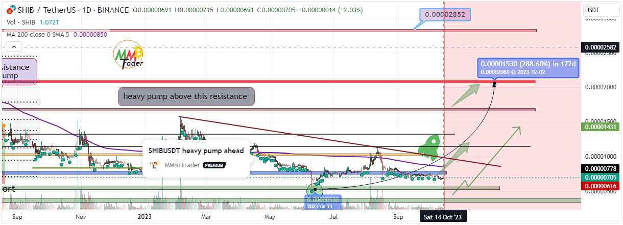 ��������, ���� Shib+usdt