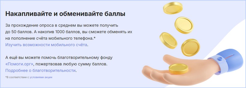 Surveys Internetopros
